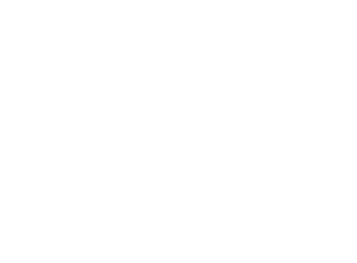 Passerello&reg; — Smart Passerelle Control System